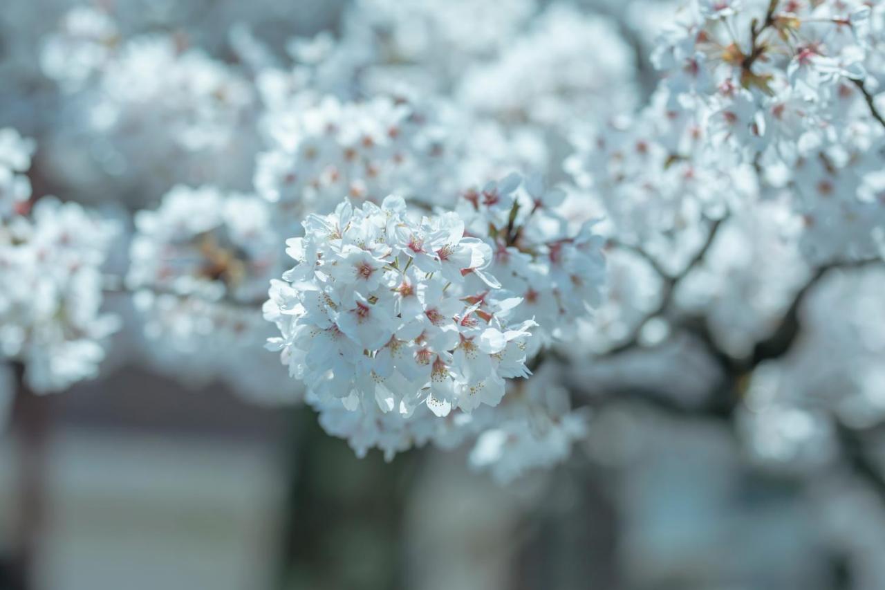 Sensui Otel Toyooka  Dış mekan fotoğraf